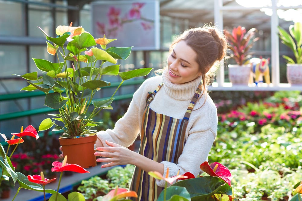 mulher em uma floricultura arrumando um vaso